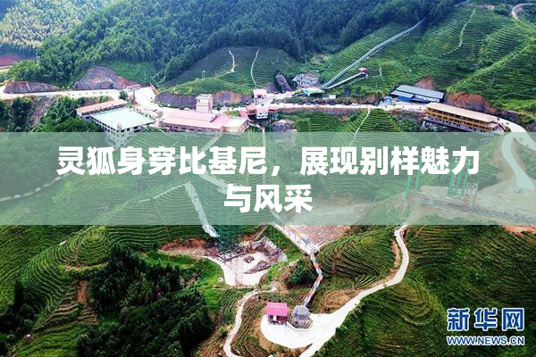 灵狐身穿比基尼，展现别样魅力与风采
