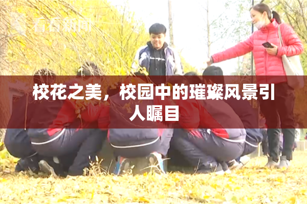 校花之美，校园中的璀璨风景引人瞩目