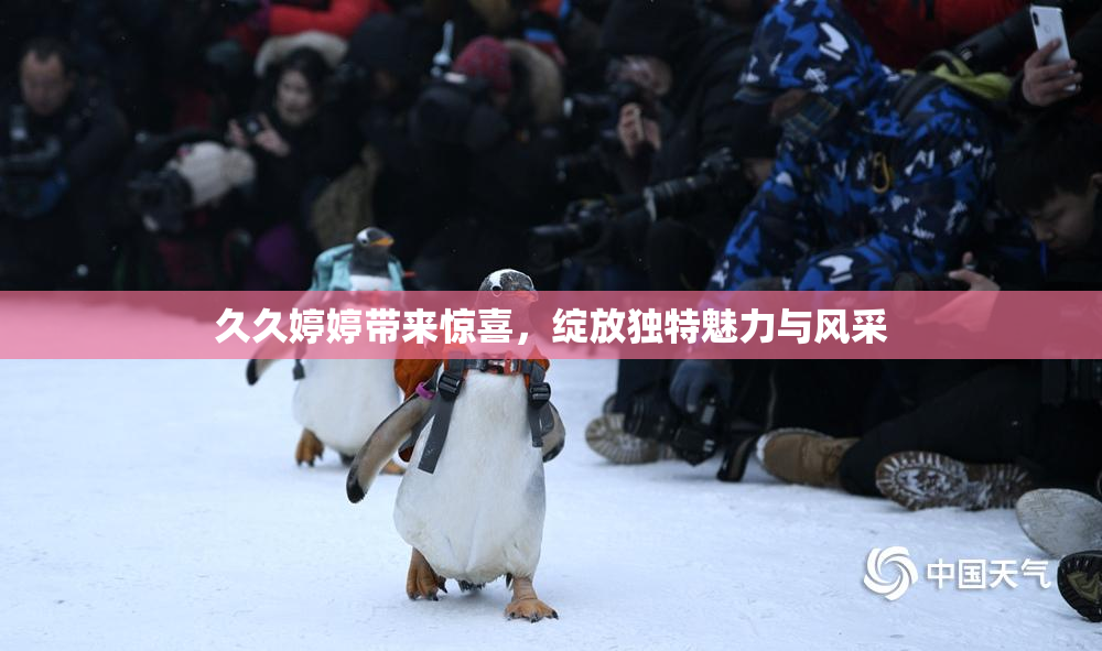 久久婷婷带来惊喜，绽放独特魅力与风采