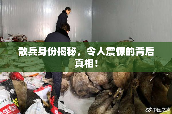 散兵身份揭秘，令人震惊的背后真相！