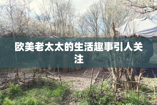 欧美老太太的生活趣事引人关注