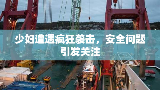 少妇遭遇疯狂袭击，安全问题引发关注