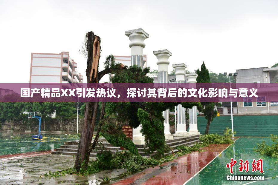 国产精品XX引发热议，探讨其背后的文化影响与意义