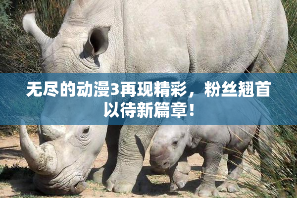 无尽的动漫3再现精彩，粉丝翘首以待新篇章！