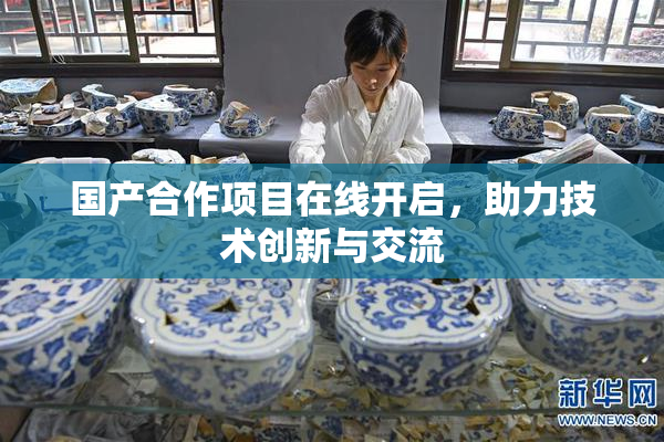 国产合作项目在线开启，助力技术创新与交流