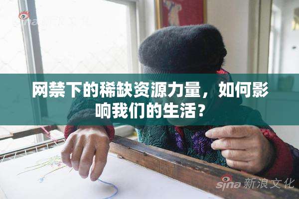 网禁下的稀缺资源力量，如何影响我们的生活？