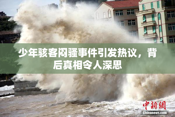 少年骇客闷骚事件引发热议，背后真相令人深思