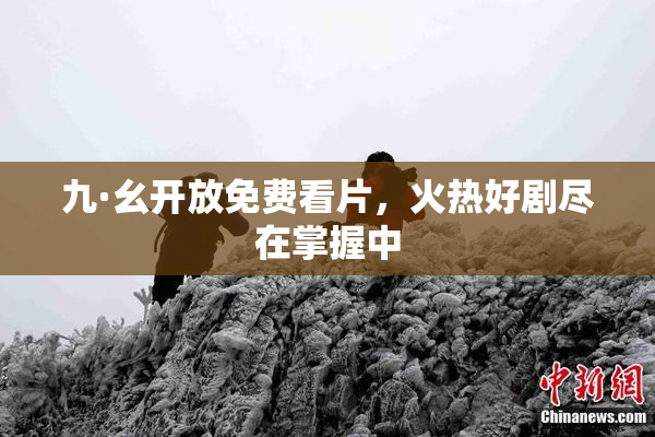 九·幺开放免费看片，火热好剧尽在掌握中