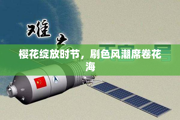 樱花绽放时节，刷色风潮席卷花海