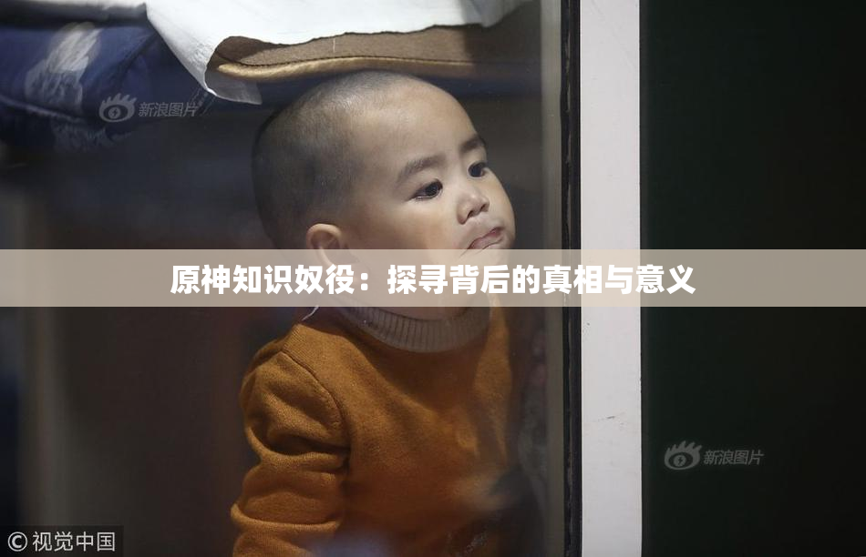 原神知识奴役：探寻背后的真相与意义