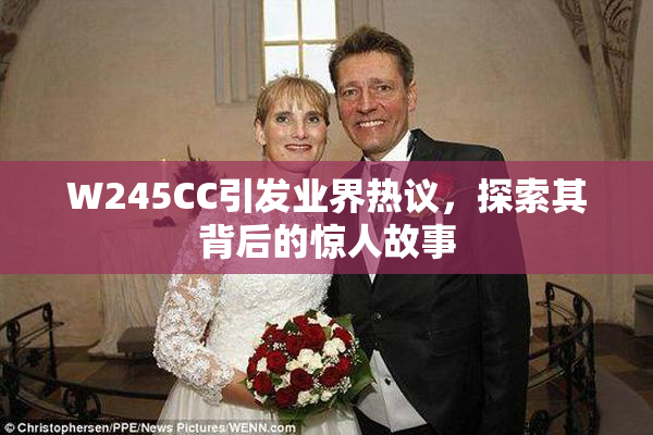 W245CC引发业界热议，探索其背后的惊人故事