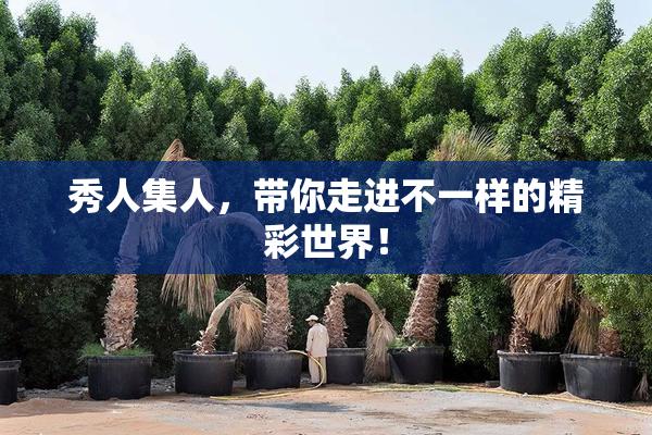 秀人集人，带你走进不一样的精彩世界！