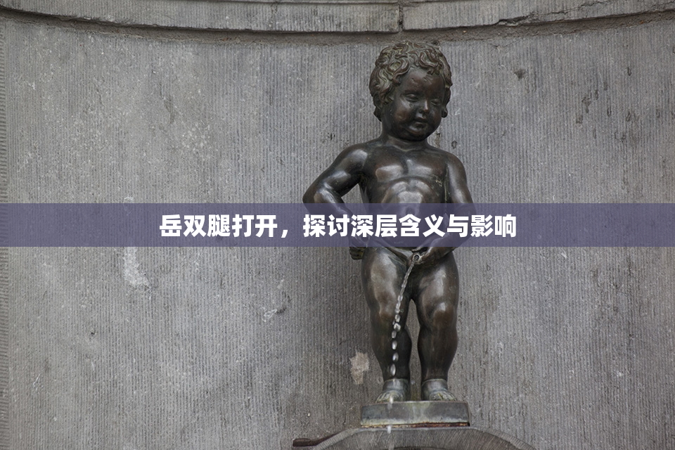 岳双腿打开，探讨深层含义与影响