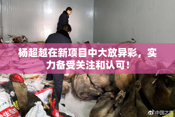 杨超越在新项目中大放异彩，实力备受关注和认可！