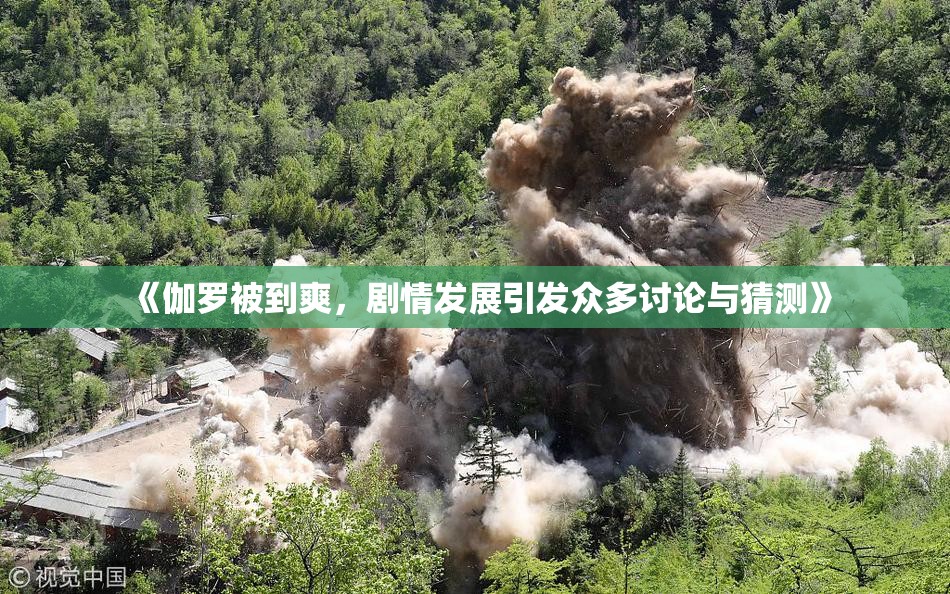 《伽罗被到爽，剧情发展引发众多讨论与猜测》