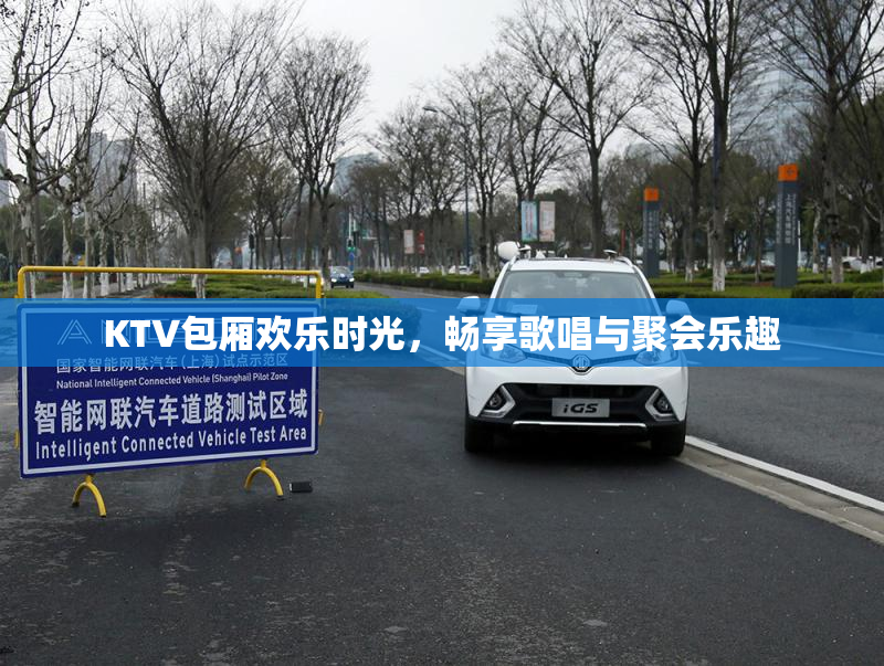 KTV包厢欢乐时光，畅享歌唱与聚会乐趣