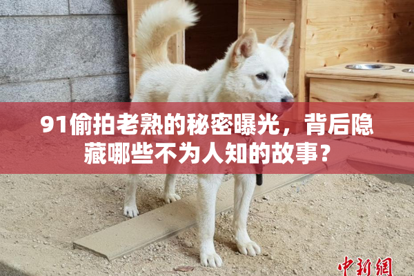 91偷拍老熟的秘密曝光，背后隐藏哪些不为人知的故事？