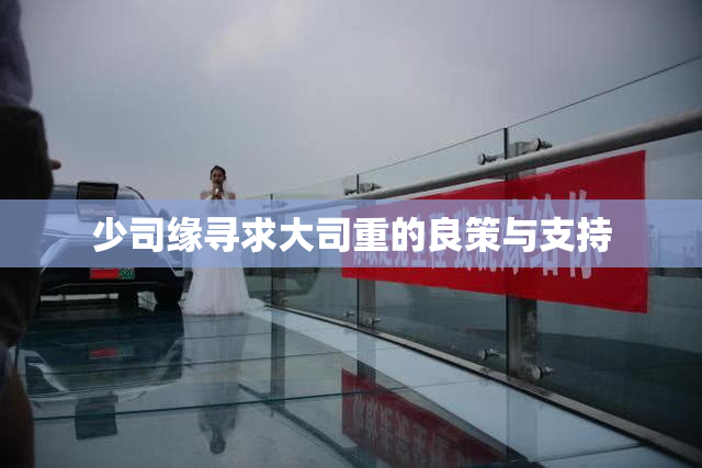 少司缘寻求大司重的良策与支持