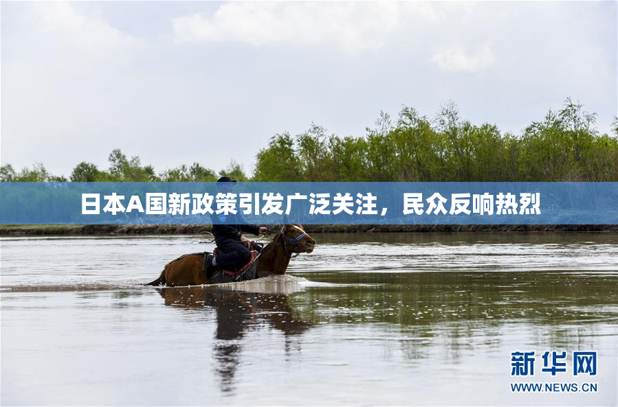 日本A国新政策引发广泛关注，民众反响热烈
