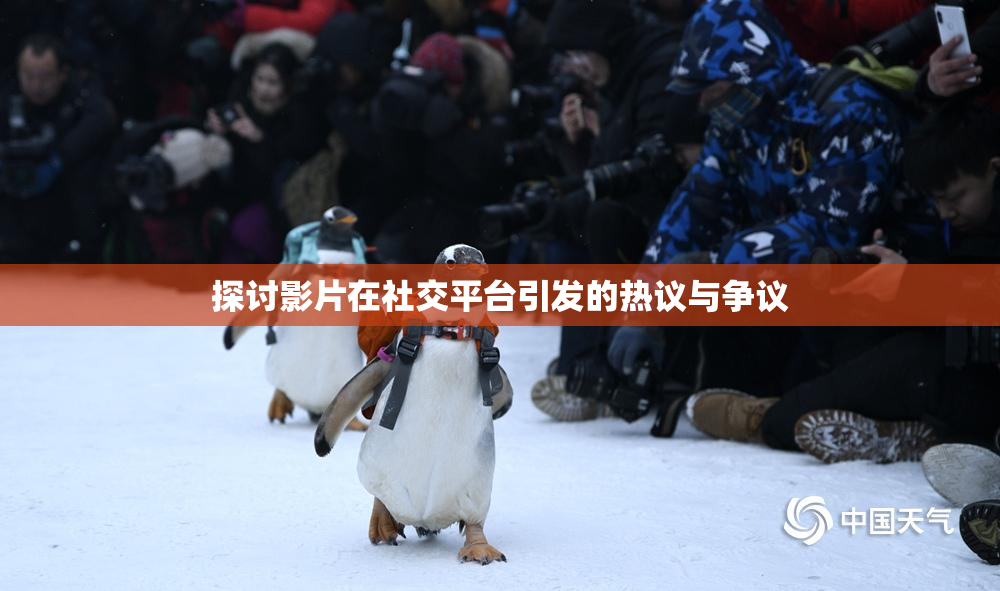 探讨影片在社交平台引发的热议与争议
