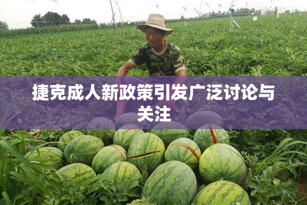 捷克成人新政策引发广泛讨论与关注