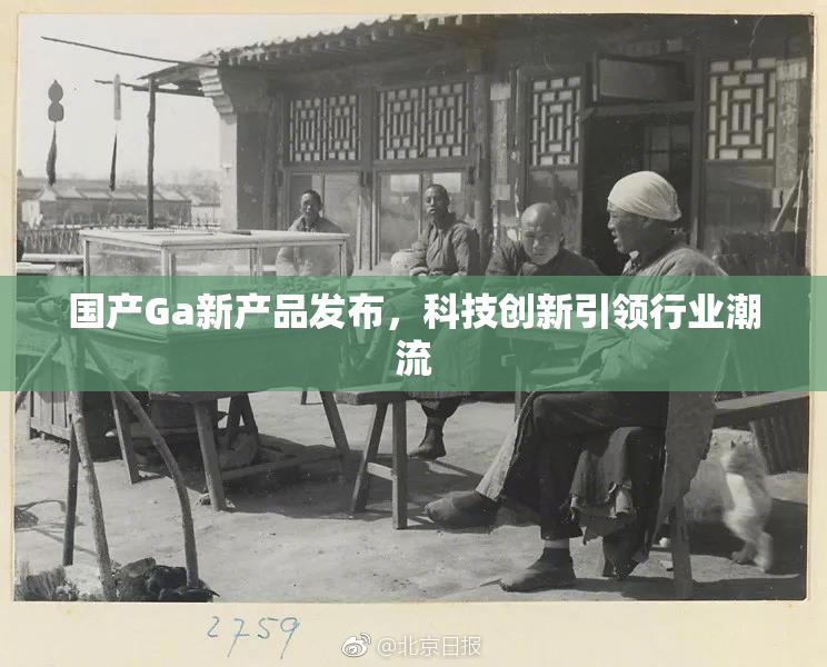 国产Ga新产品发布，科技创新引领行业潮流