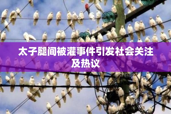 太子腿间被灌事件引发社会关注及热议