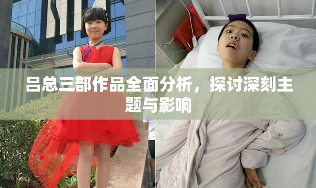 吕总三部作品全面分析，探讨深刻主题与影响