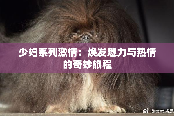 少妇系列激情：焕发魅力与热情的奇妙旅程