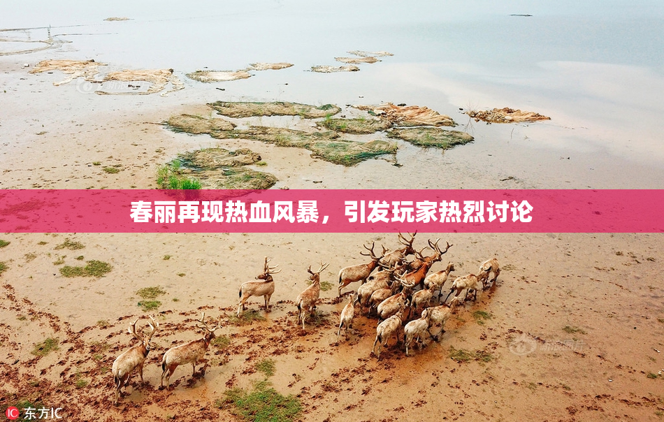 春丽再现热血风暴，引发玩家热烈讨论