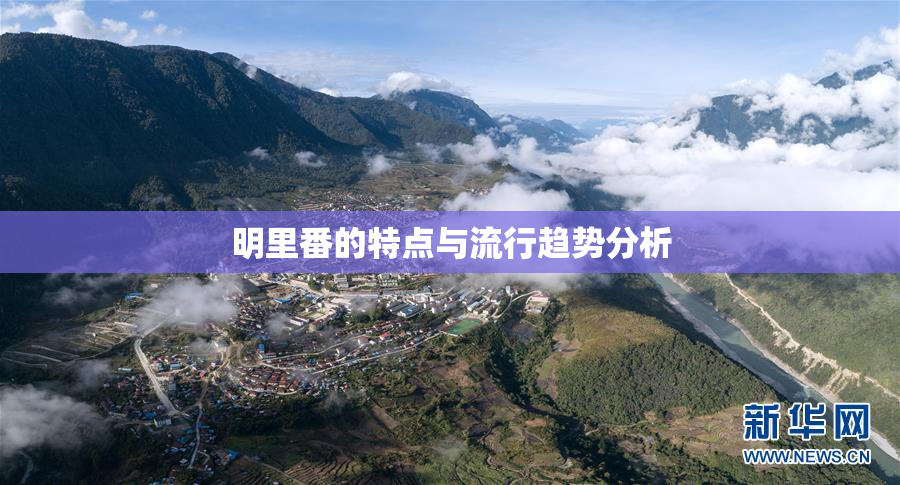 明里番的特点与流行趋势分析