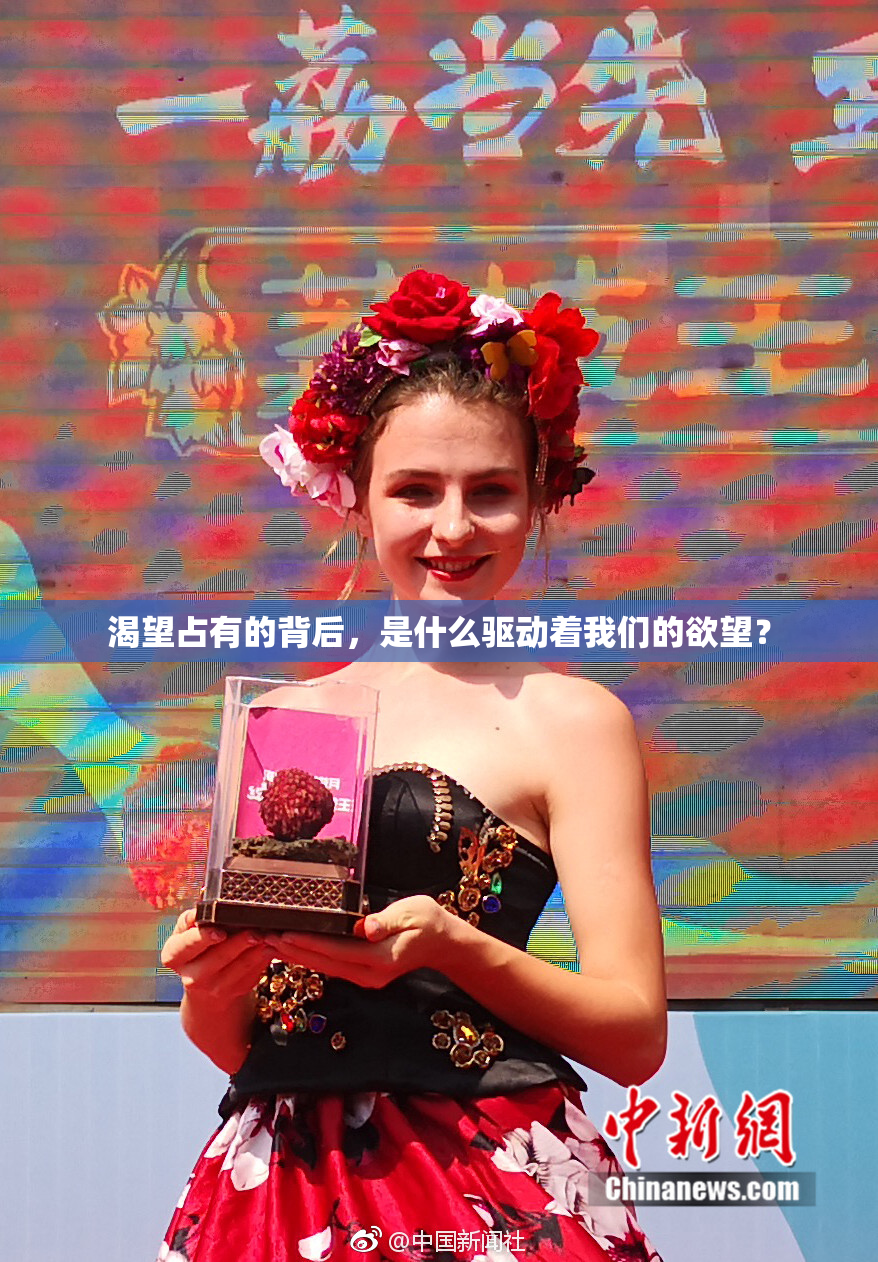 渴望占有的背后，是什么驱动着我们的欲望？