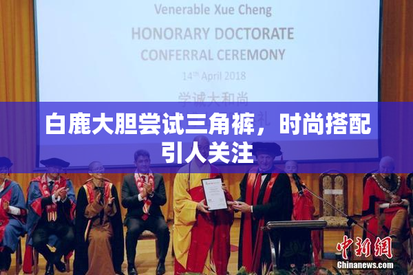 白鹿大胆尝试三角裤，时尚搭配引人关注