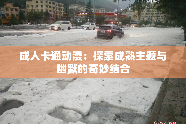 成人卡通动漫：探索成熟主题与幽默的奇妙结合