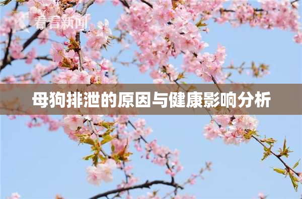 母狗排泄的原因与健康影响分析