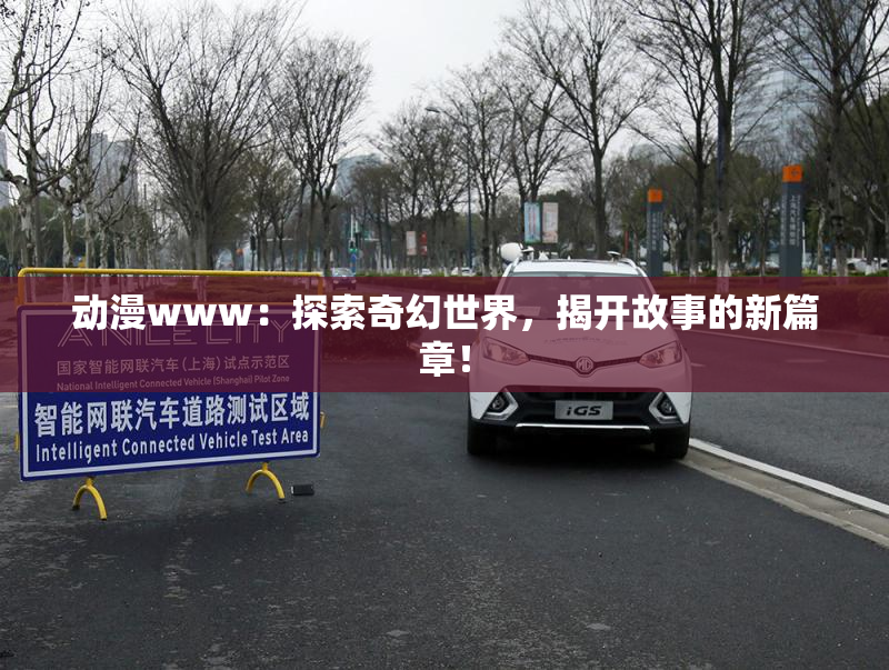 动漫www：探索奇幻世界，揭开故事的新篇章！