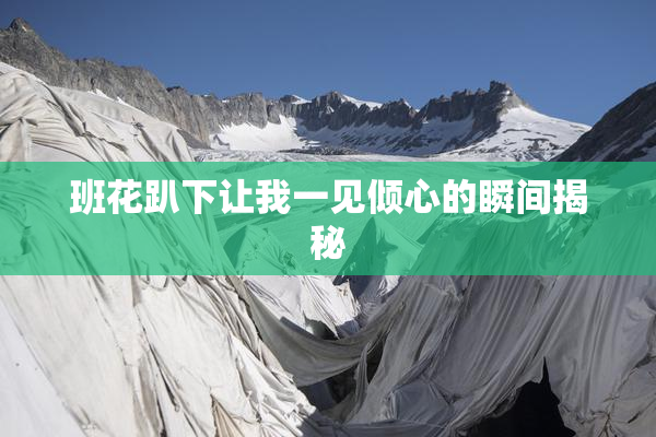 班花趴下让我一见倾心的瞬间揭秘
