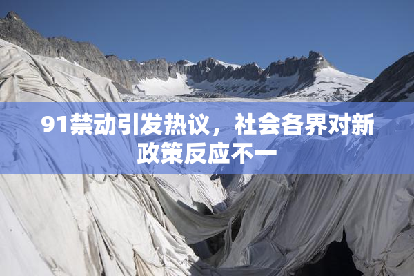 91禁动引发热议，社会各界对新政策反应不一