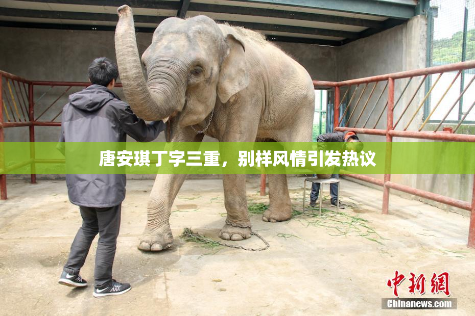 唐安琪丁字三重，别样风情引发热议
