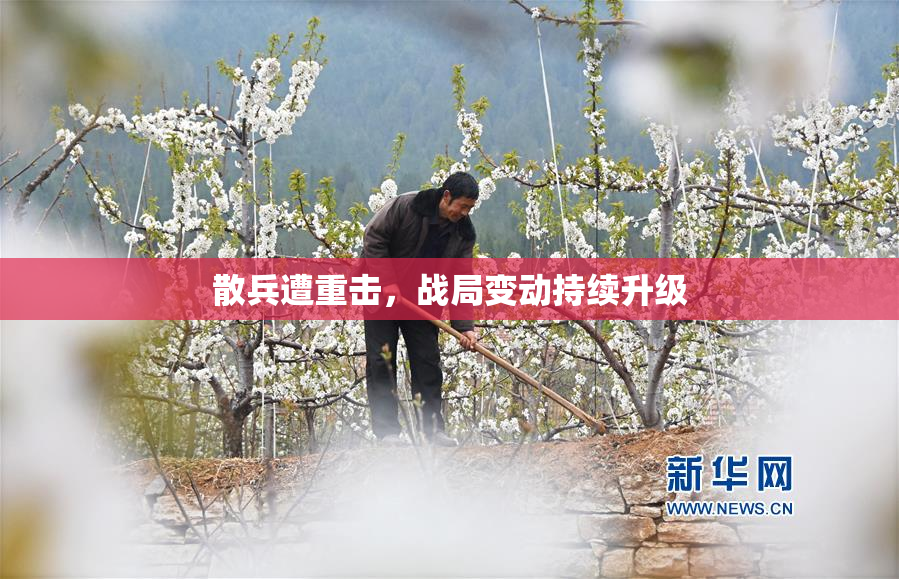 散兵遭重击，战局变动持续升级