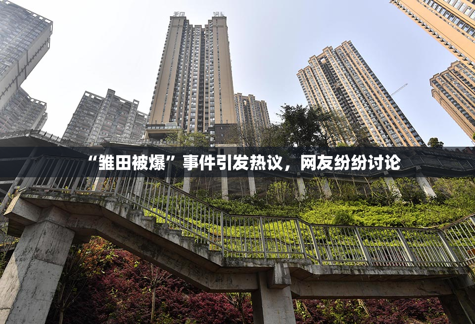 “雏田被爆”事件引发热议，网友纷纷讨论
