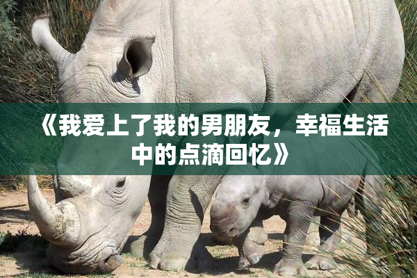 《我爱上了我的男朋友，幸福生活中的点滴回忆》