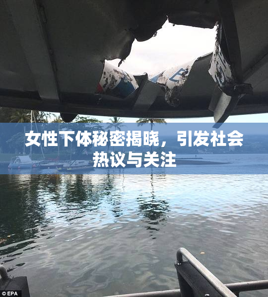 女性下体秘密揭晓，引发社会热议与关注