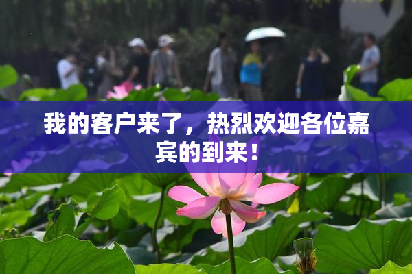 我的客户来了，热烈欢迎各位嘉宾的到来！