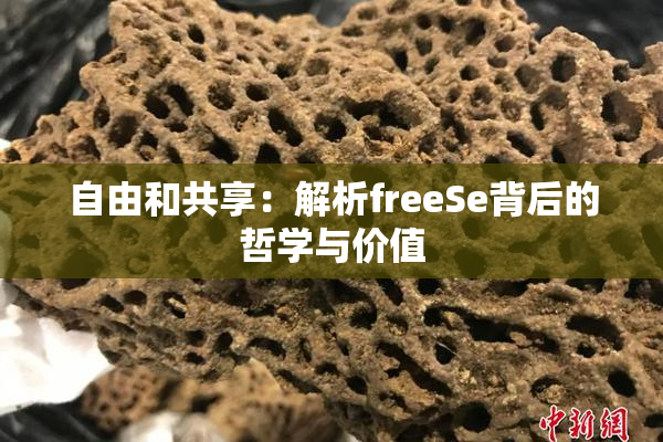 自由和共享：解析freeSe背后的哲学与价值