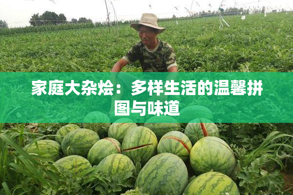 家庭大杂烩：多样生活的温馨拼图与味道