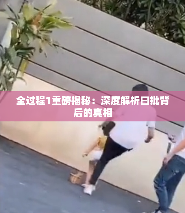 全过程1重磅揭秘：深度解析曰批背后的真相