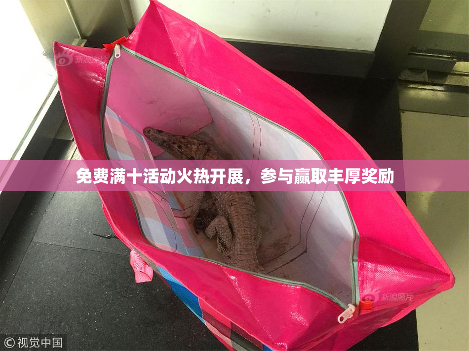 免费满十活动火热开展，参与赢取丰厚奖励