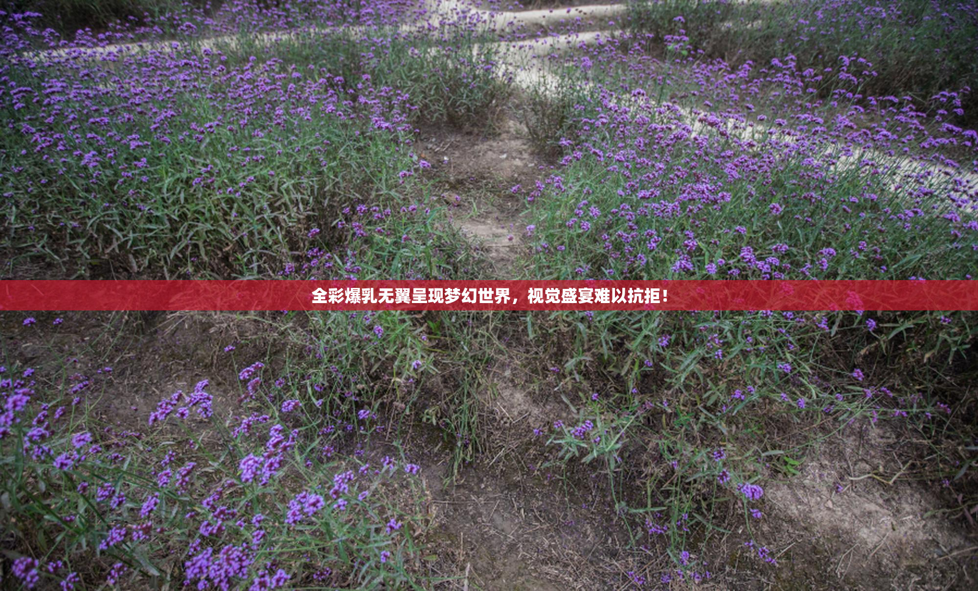 全彩爆乳无翼呈现梦幻世界，视觉盛宴难以抗拒！