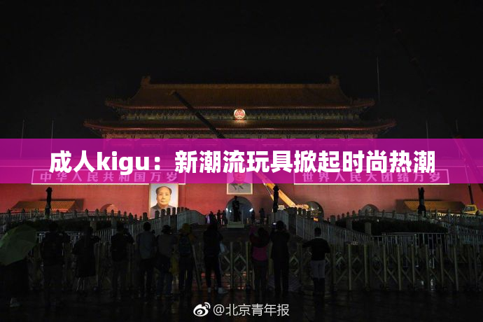 成人kigu：新潮流玩具掀起时尚热潮